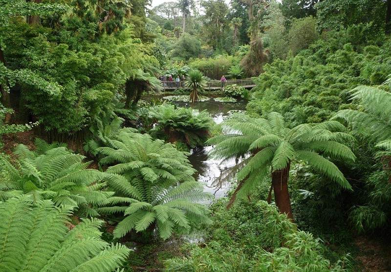 The Lost Gardens Of Heligan Vouchers Offers And Deals 